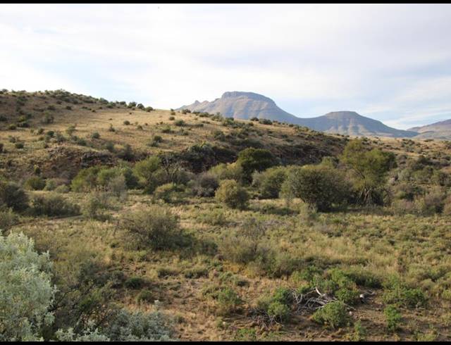 1,848HA FARM FOR SALE IN MIDDELBURG RURAL